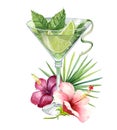 Lime and mint cocktail with ice in a glass flute with a bright tropical bouquet.Watercolor illustration